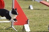  - Agility 